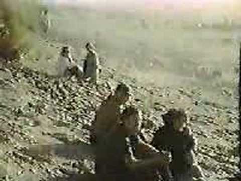 Image (Asset 1/1) alt=