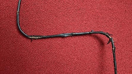 Image (Asset 10/80) alt=