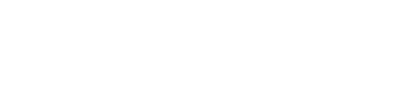 Image (Asset 9/12) alt=