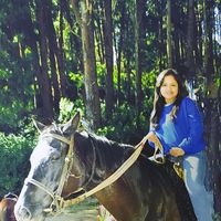 Image (Asset 6/10) alt=