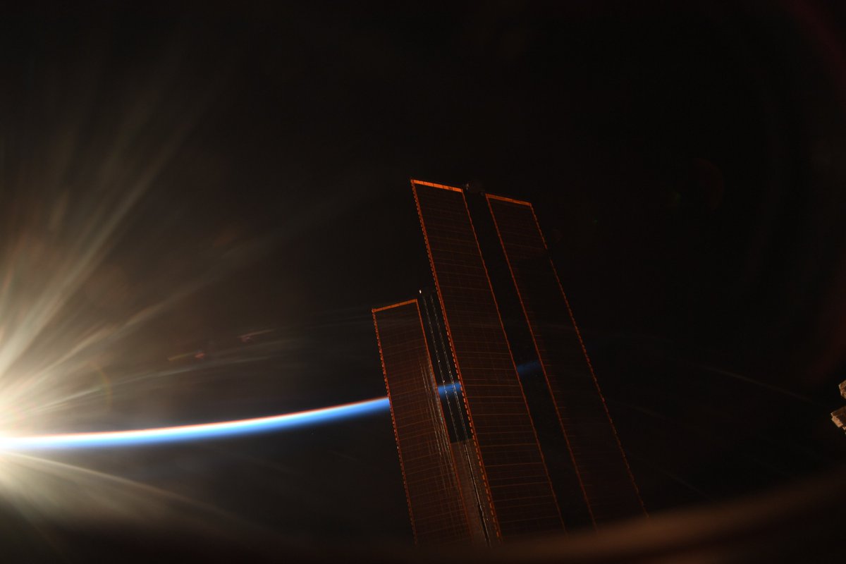 Image (Asset 2/7) alt=