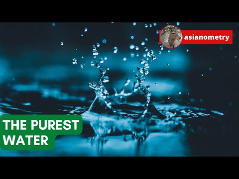 Image (Asset 1/1) alt=